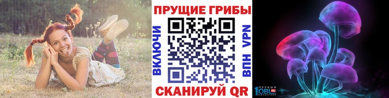 Псилоцибиновые грибы мицелий  ОМГ ОМГ ССЫЛКА  Катав-Ивановск  как найти закладки 